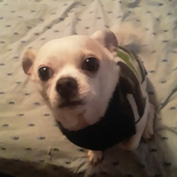 Meet your Posher, Tony - Picture 4 of 4